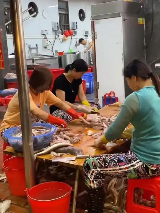 Q弹有嚼劲的实心鱼丸来啦！妥妥的低脂高蛋白！煲汤、火锅都可以，简单好吃又百搭！鱼丸强木松鱼