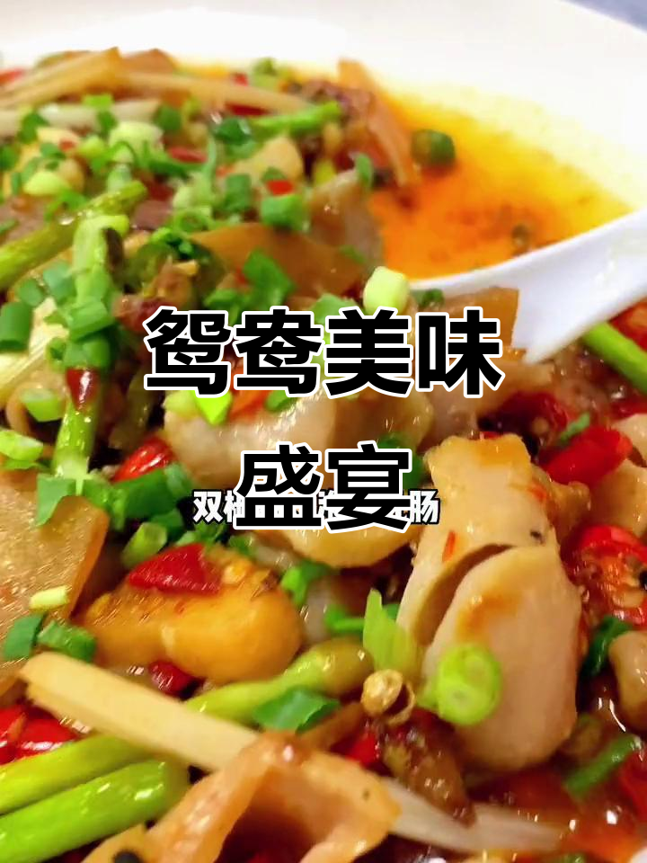 鸳鸯美食,20元畅享特色菜,泡椒鱼肚、生蚝应有尽有