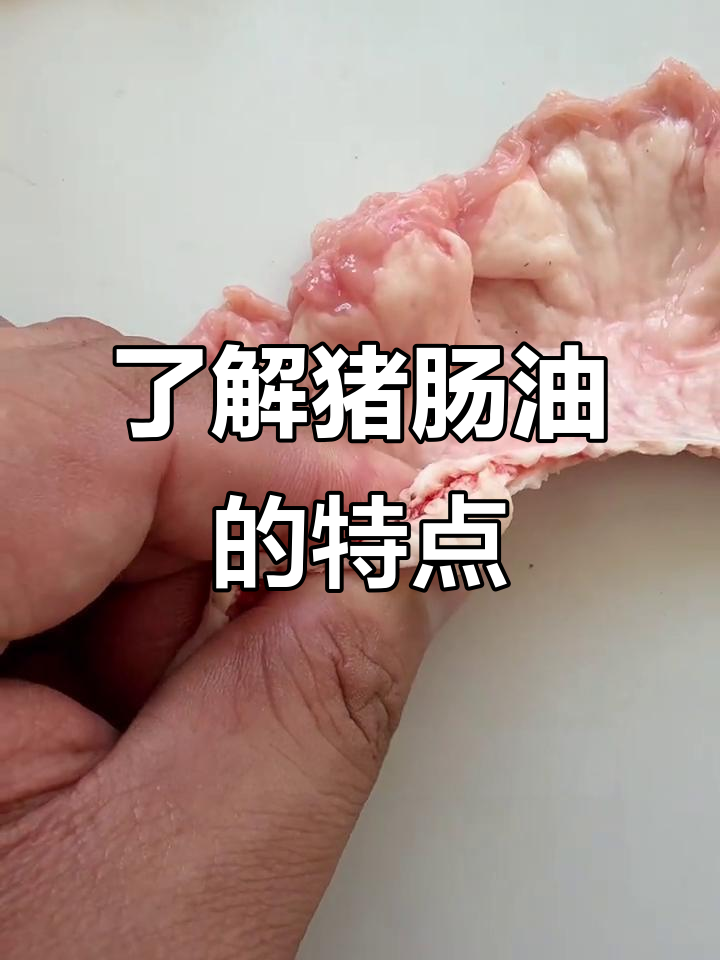 猪肠油揭秘:鸡冠油的真相与特点