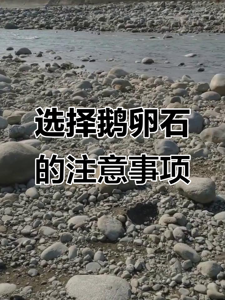 鹅卵石造景技巧：如何选择适合的石头和搭配