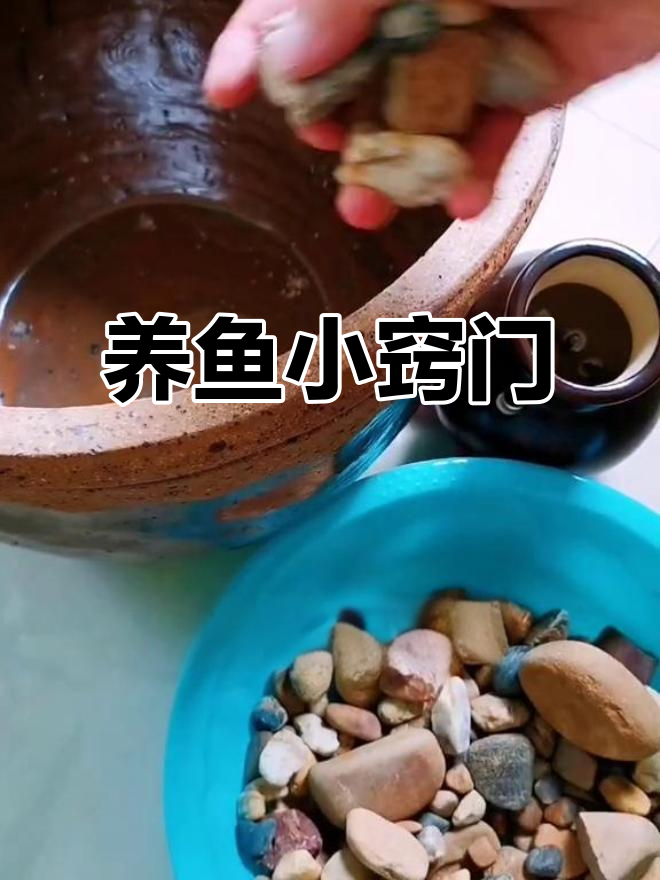分享流水养鱼经验,泵的选择很重要!