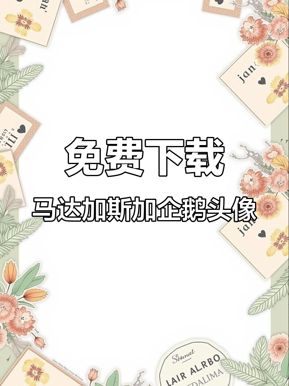 马达加斯加企鹅火影头像大放送，快来挑选你喜欢的！