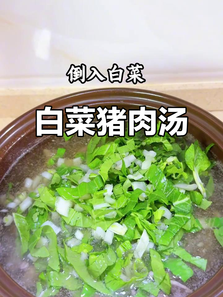 白菜猪肉汤，简单又美味，肉质嫩滑让人回味无穷