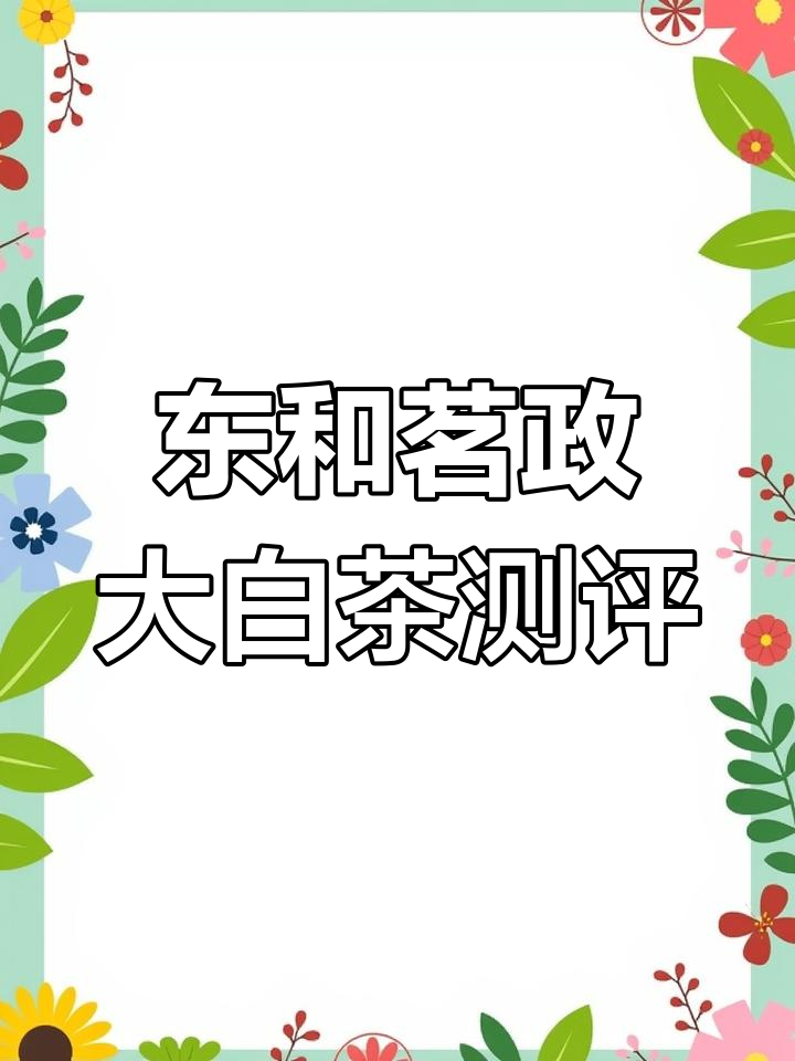 2023东和茗政大鱼叶寿眉评测:干茶、汤色与口感全解析