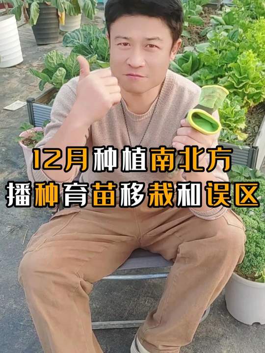 12月小菜园盆栽能种啥？