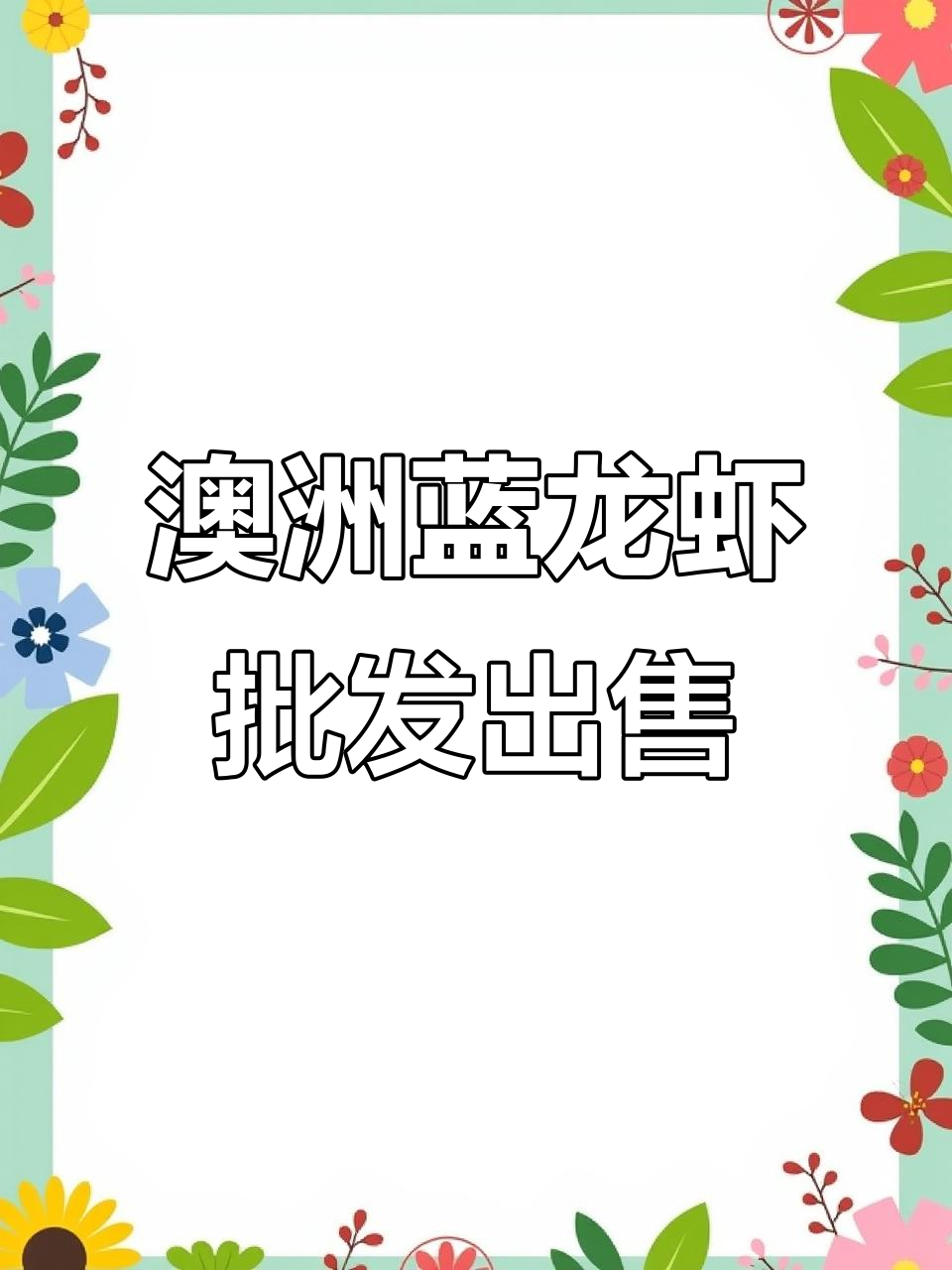 9月6日澳洲蓝龙虾每日3000斤,全国批发配送