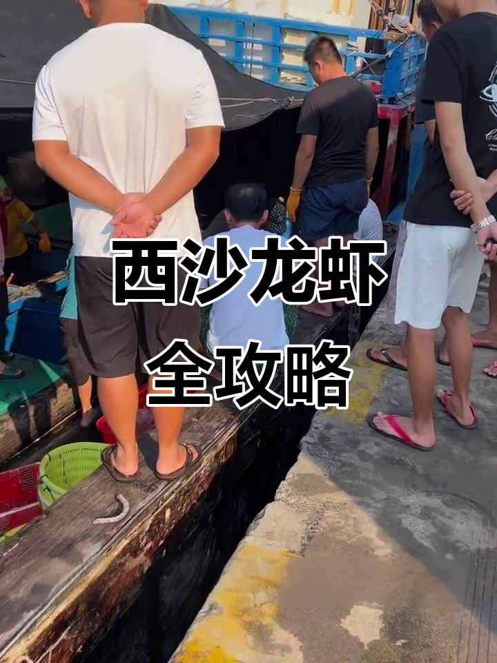 西沙野生龙虾大揭秘:黑白纹、琵琶虾与犀牛虾的美味之旅