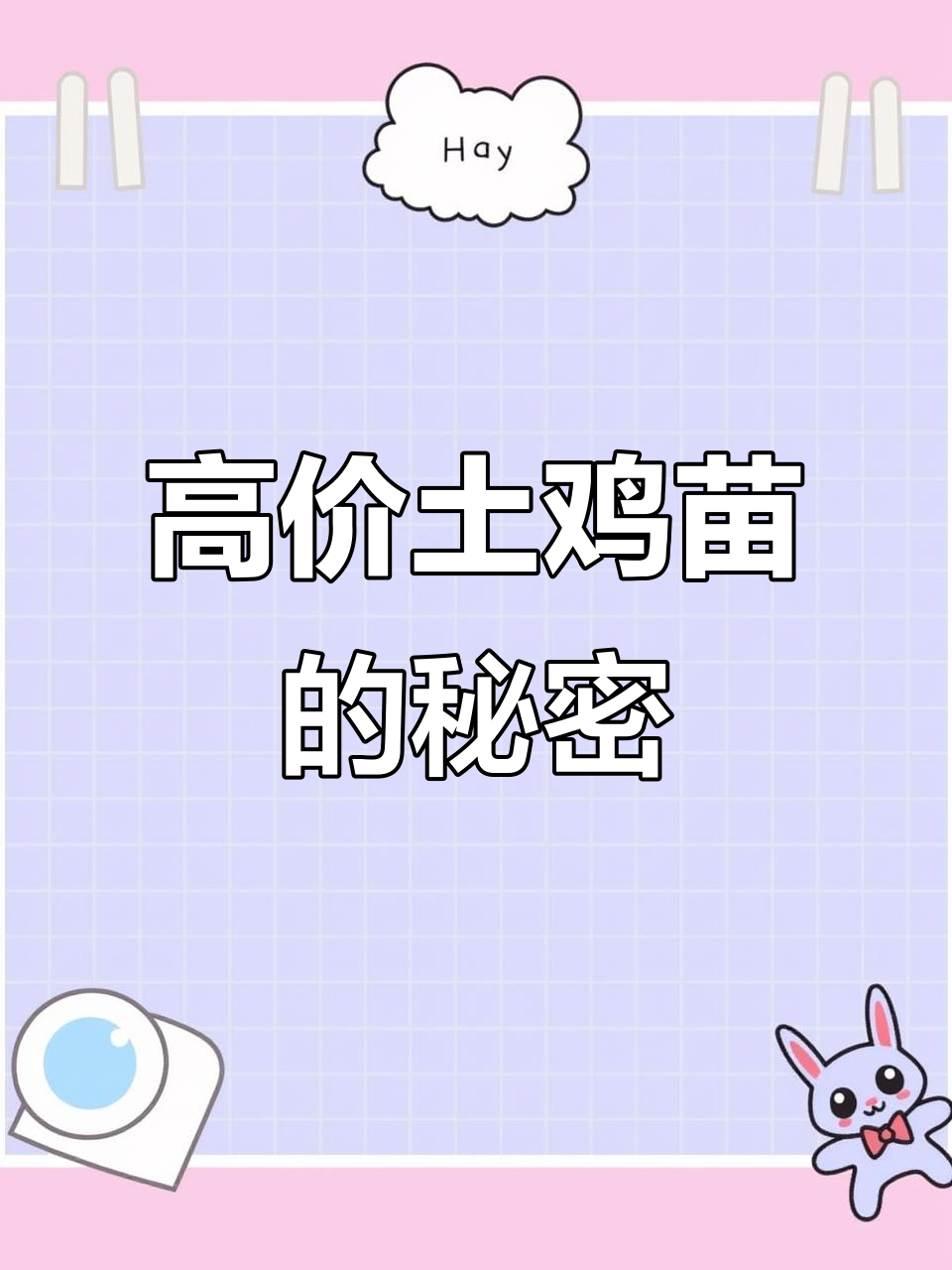 土鸡苗为何定价高？山林散养，成活率高达99%