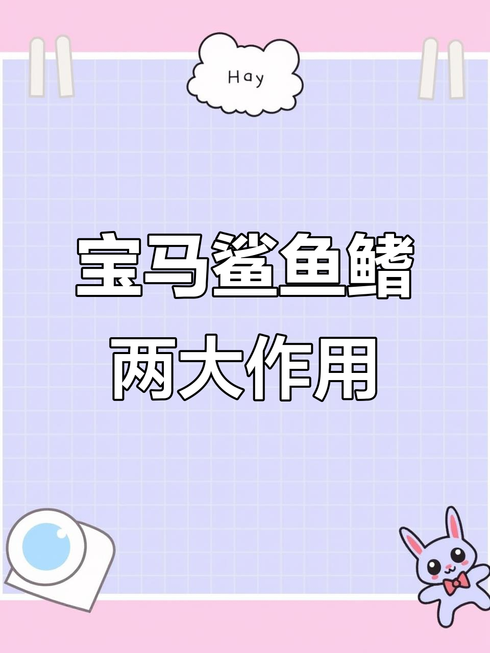 宝马鲨鱼鳍的隐藏功能,风阻降低与信号增强全搞定