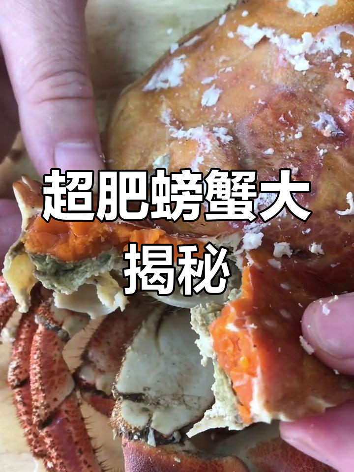 面包蟹的秘密:肥美蟹黄让人惊艳,吃法全揭秘