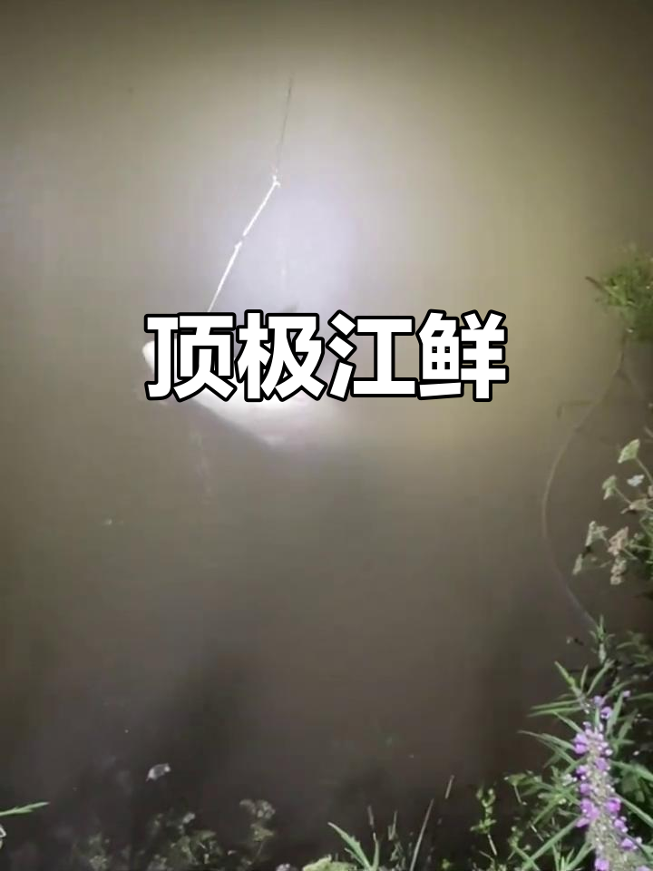 江团:顶级鲜味,回鱼的美妙之旅