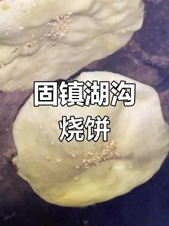 固镇湖沟烧饼:传统美味与历史传承的完美结合