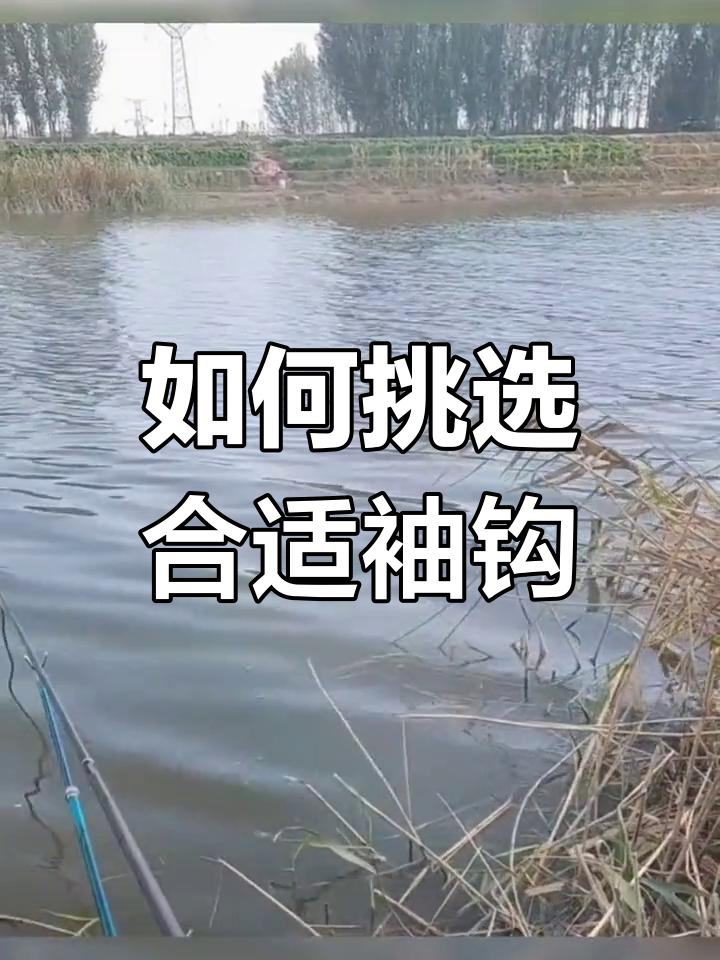 选对袖钩,轻松钓大鱼!从一号到六号全解析