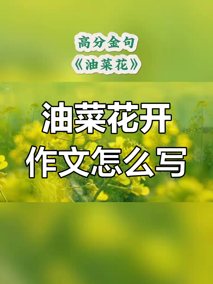 春天油菜花盛开,小学生如何用文字描绘这美景?