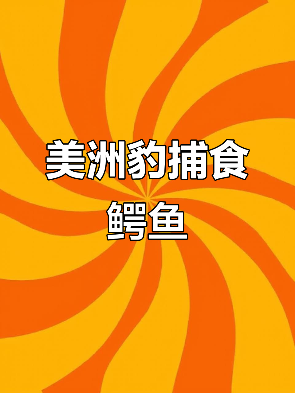 美洲豹与鳄鱼激烈厮杀，水中生死时速