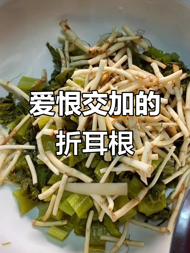 折耳根坡上的酸菜与辣味,让人爱恨交织的农家乐风味