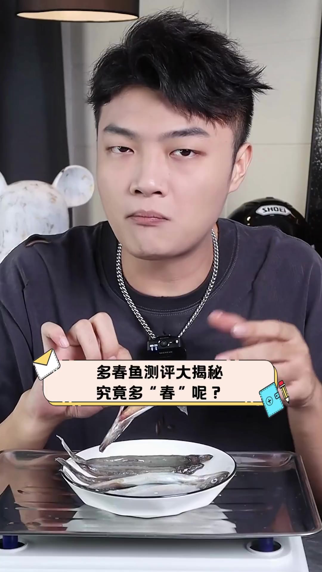 多春鱼测评大揭秘,究竟多“春”呢?