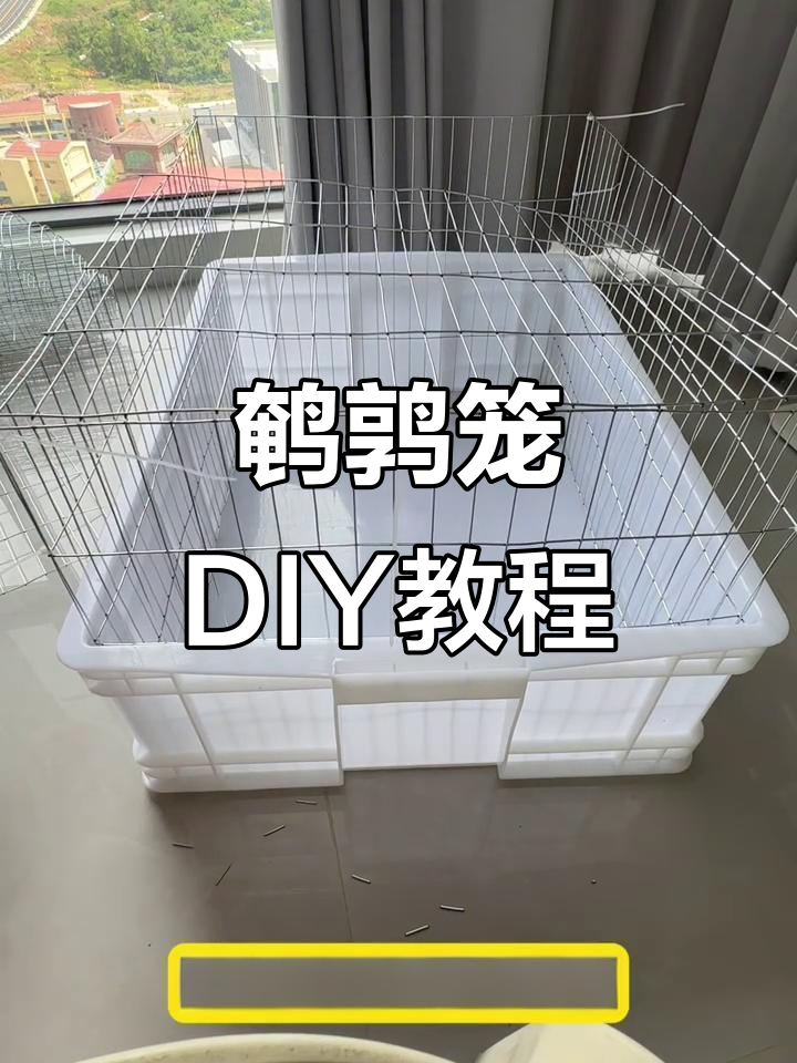 自制鹌鹑笼,简单易懂,轻松上手!