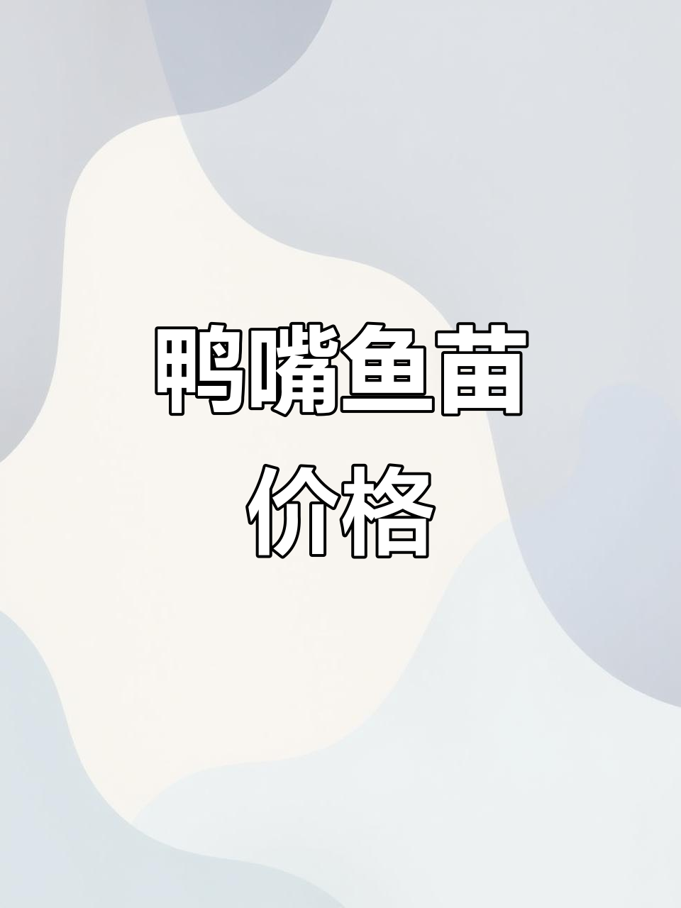 鸭嘴鱼苗价格大揭秘，现场实拍！