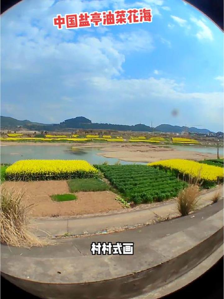 四川绵阳万亩油菜花海与村庄山水交相辉映