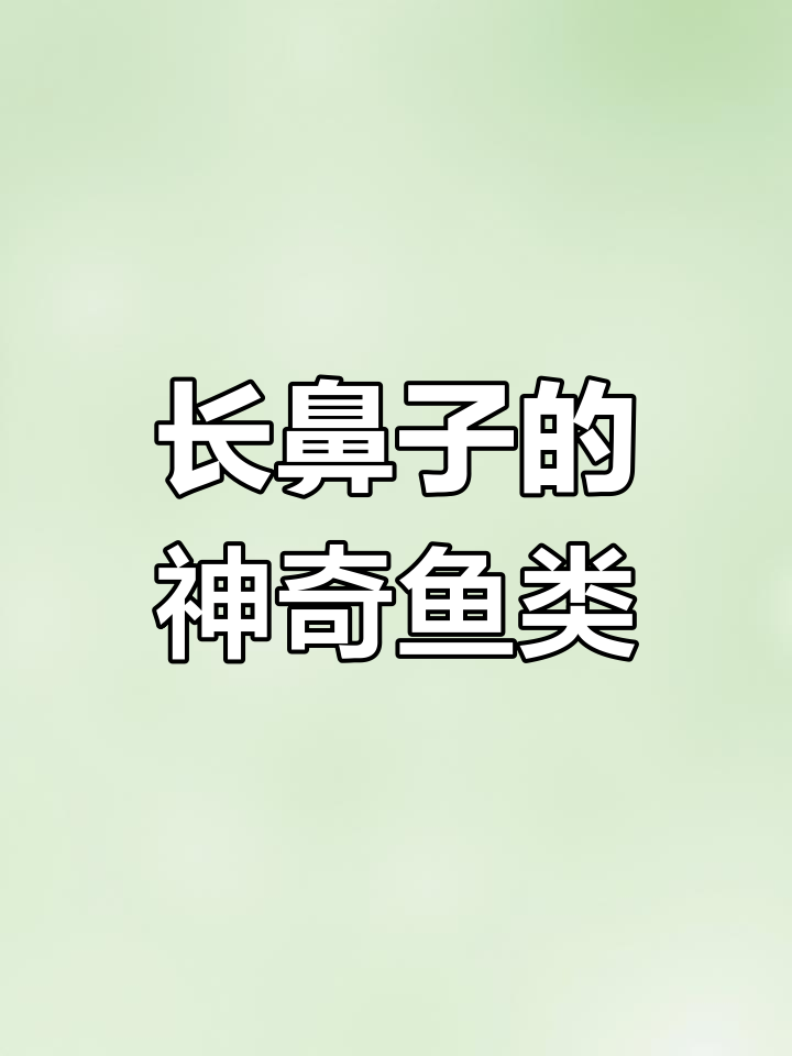 象鼻鱼:长鼻子与独特形态的神秘生物