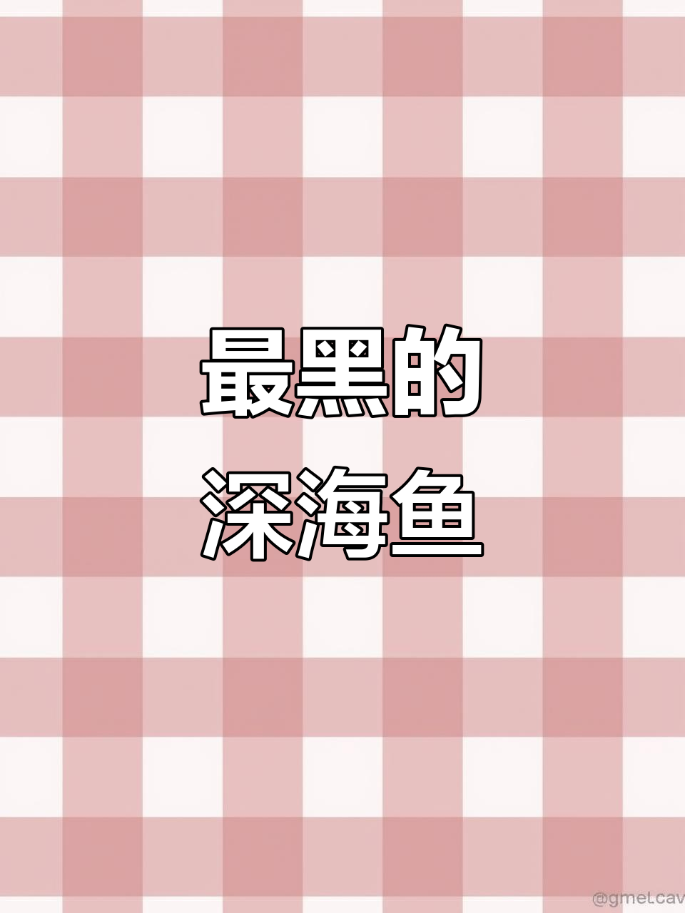 深海最黑的鱼,比极乐鸟还黑!