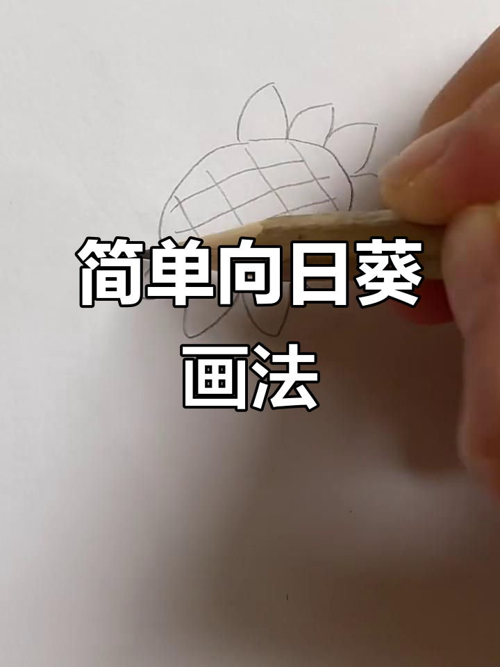 向日葵简笔画步骤详解,轻松画出可爱花朵