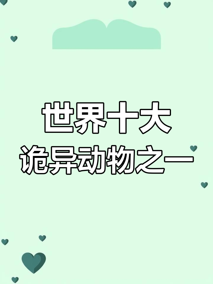 独眼鲨鱼现身,罕见雪白小鲨惊艳世界