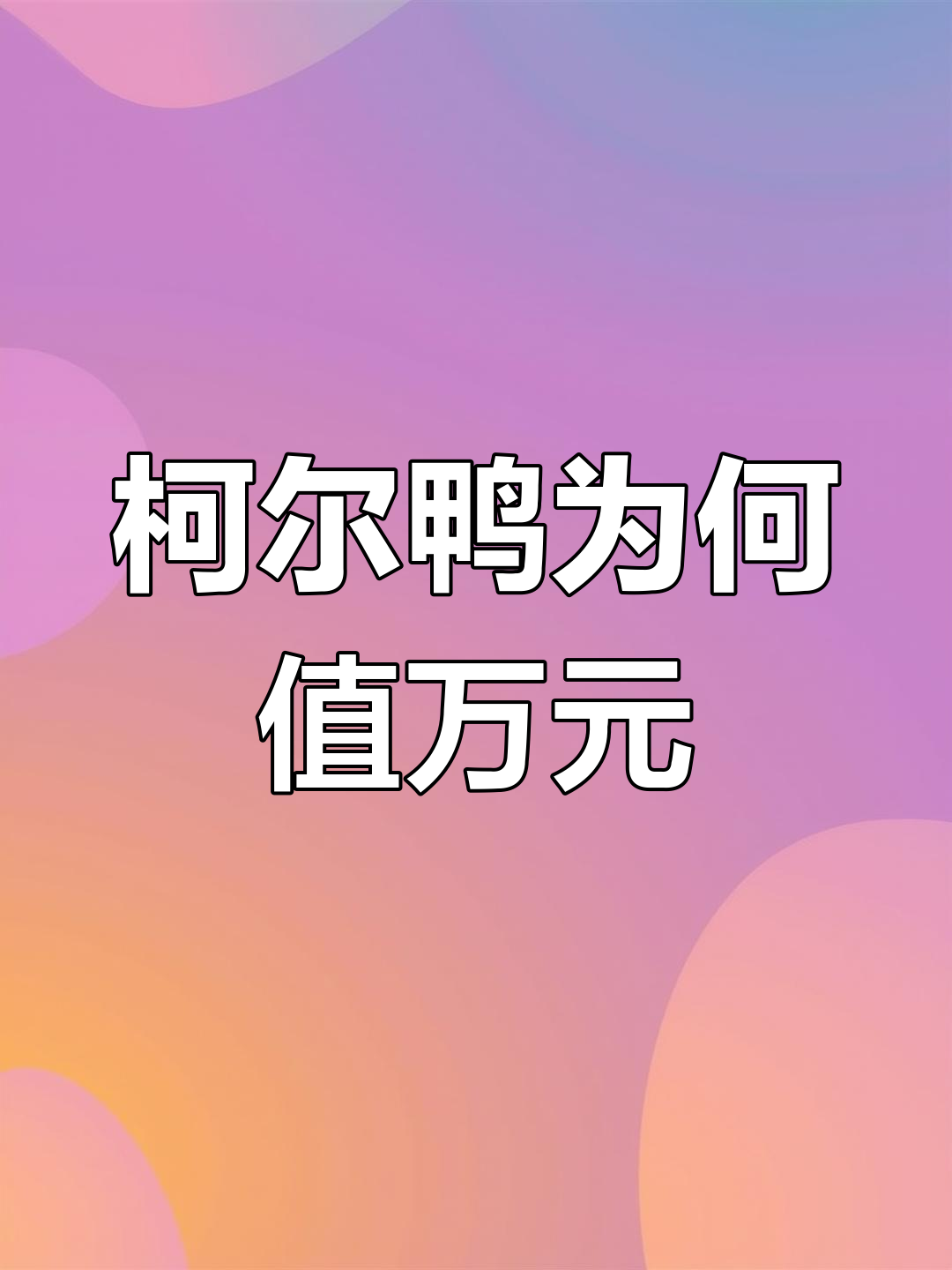 为什么柯尔鸭能卖上万元?揭秘宠物鸭的独特魅力