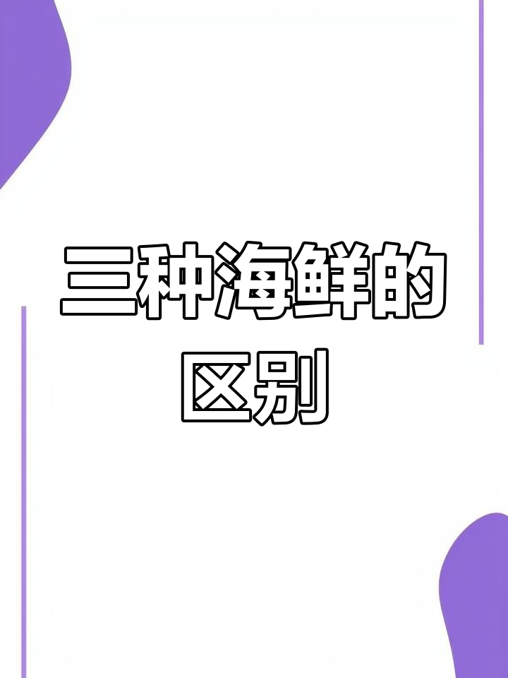 章鱼、鱿鱼和墨鱼的三大区别解析