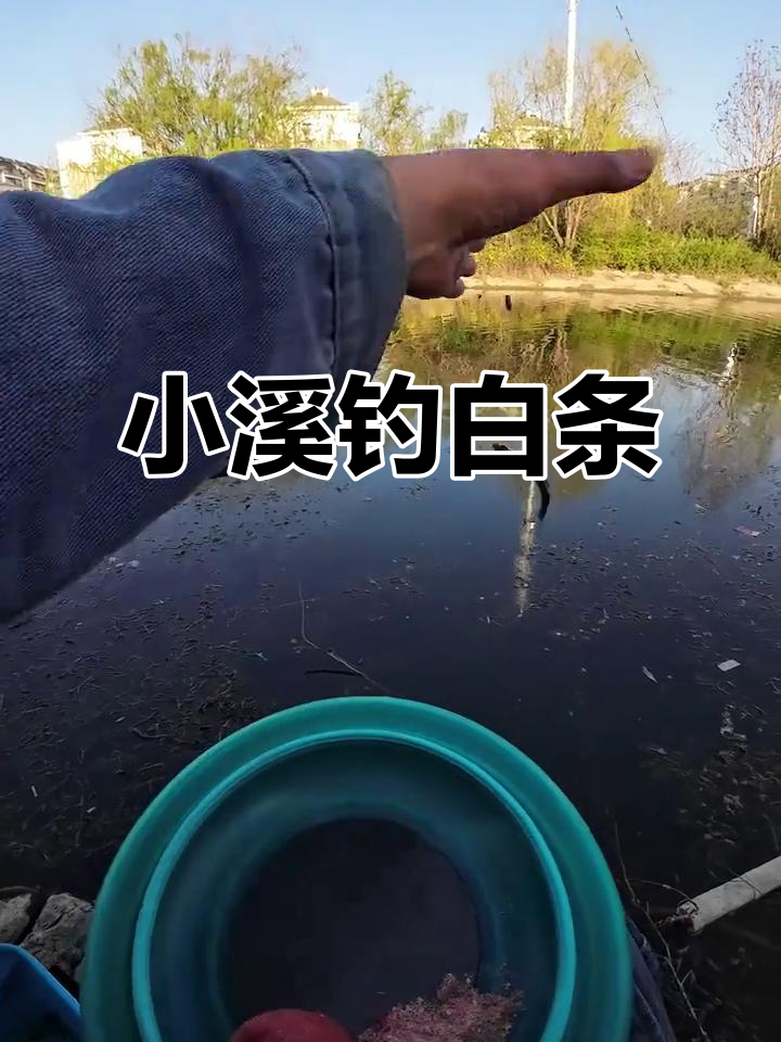 钓鱼小物钓,白条鱼也能疯狂爆护!