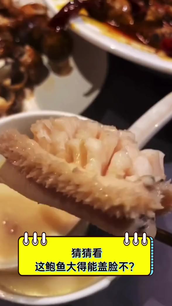 猜猜看,这鲍鱼大得能盖脸不?