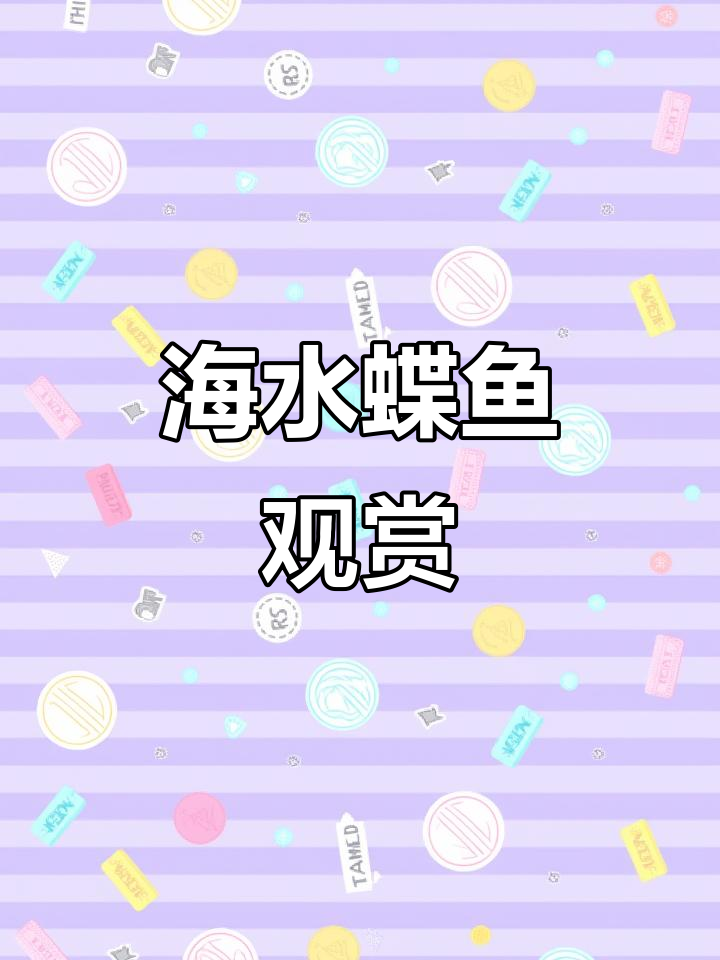 海水蝶鱼与小丑鱼的美丽邂逅,海缸中的奇观