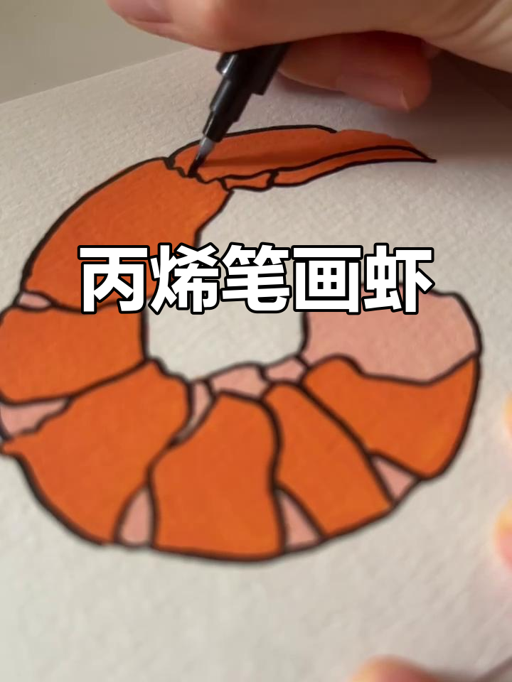 用丙烯马克笔涂色，画出可爱小虾！