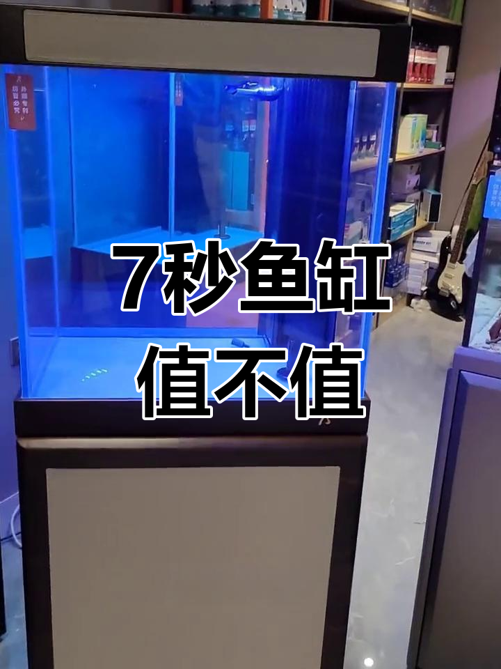 7秒鱼缸:贵在哪里?