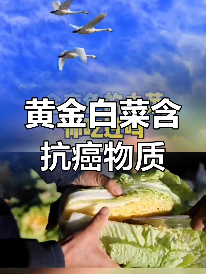 黄金白菜的抗癌秘密:吲哚3-甲醇