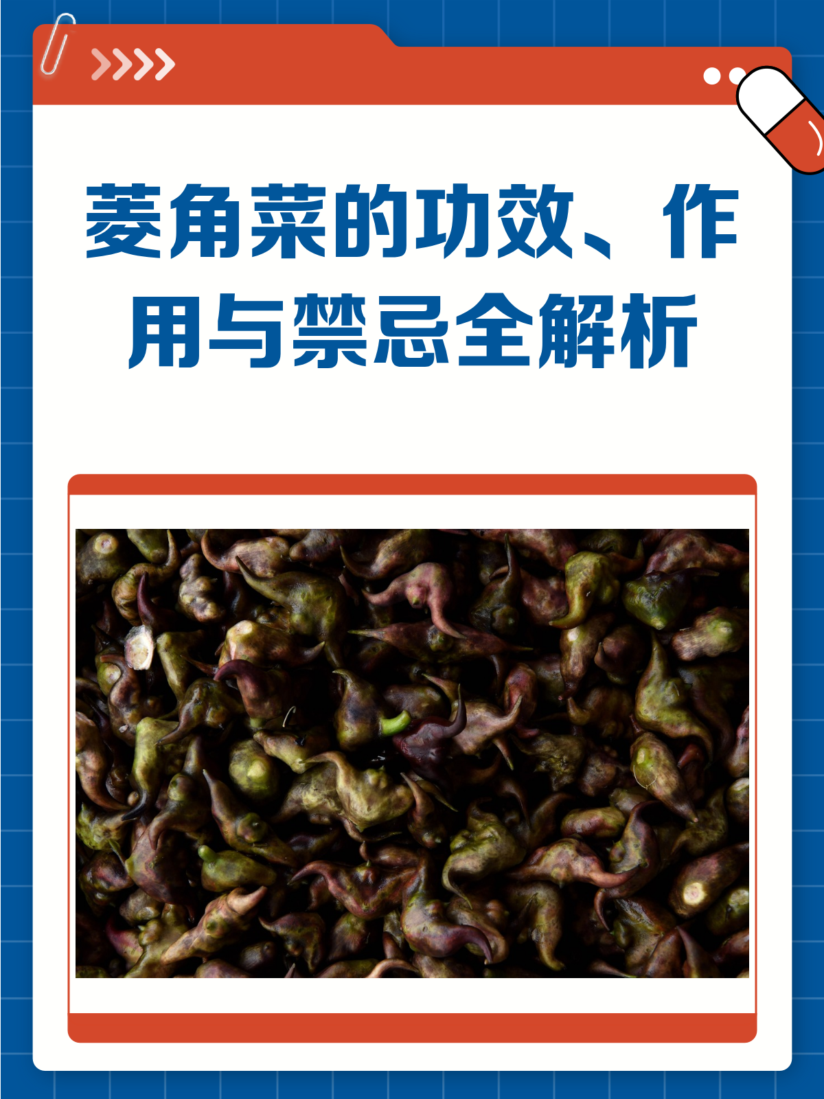 菱角菜知多少?功效、作用与禁忌全揭秘!