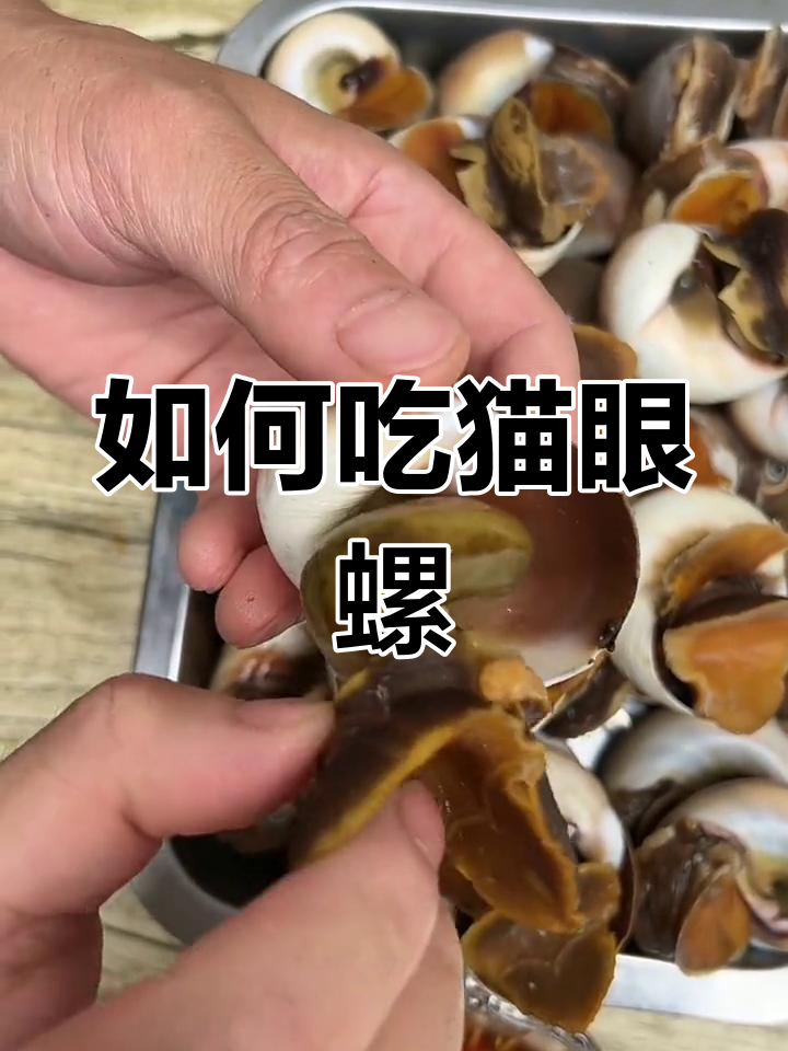 猫眼螺清洗与烹饪技巧,教你如何轻松享用美味