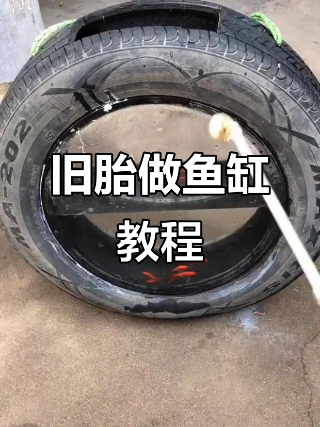 废轮胎变鱼缸,刷漆颜色任你选