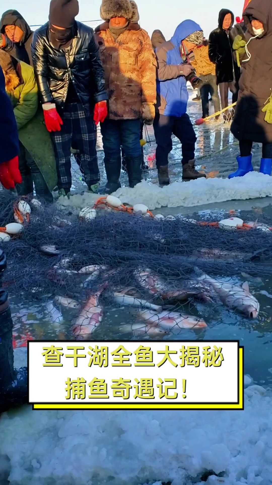 查干湖全鱼大揭秘,捕鱼奇遇记!