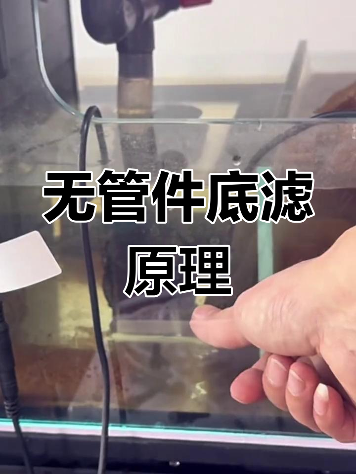 底滤鱼缸水位为何不降?揭秘无管件设计