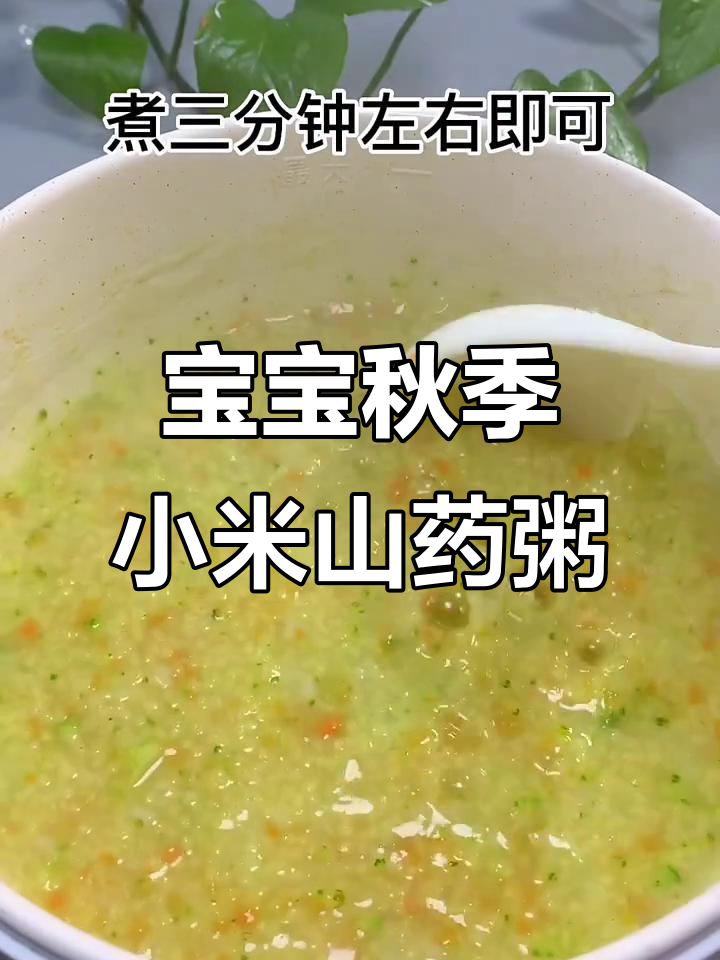 8个月宝宝秋季营养辅食，小米山药青菜粥做法