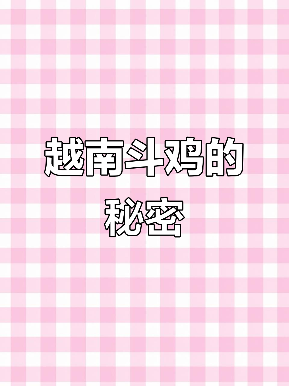 越南斗鸡：神秘凤爪与神机灵性，为何不能杀？