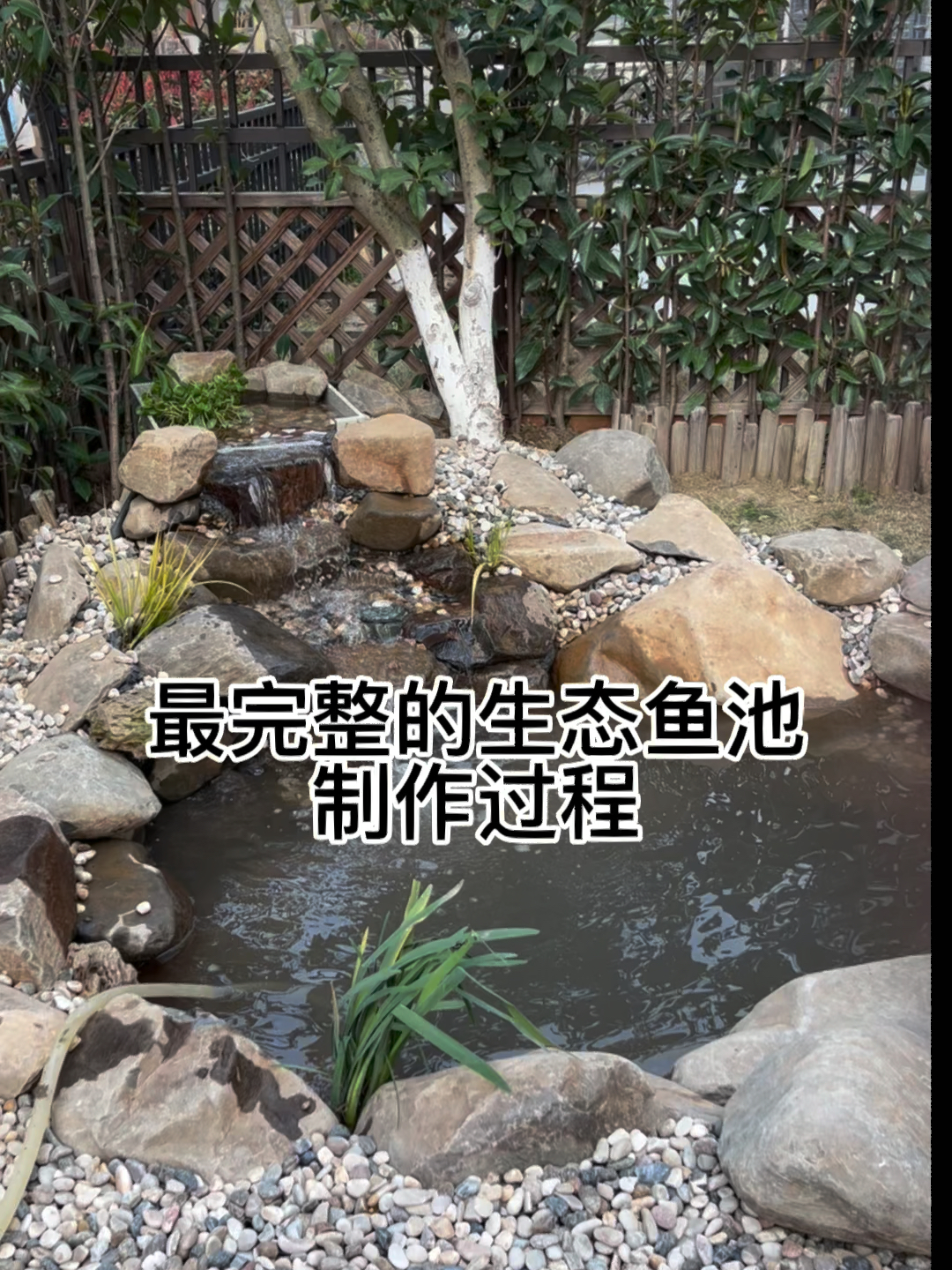 最详细生态鱼池制作过程