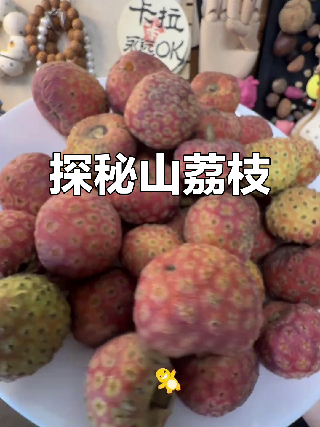 山荔枝与鸡粟子果的奇妙之旅,尝过才知道!