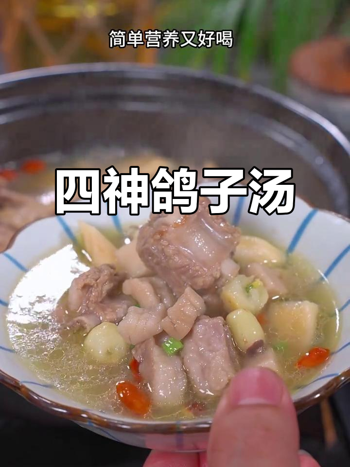 三伏天必备!四神鸽子汤,老人小孩都能喝,营养满分
