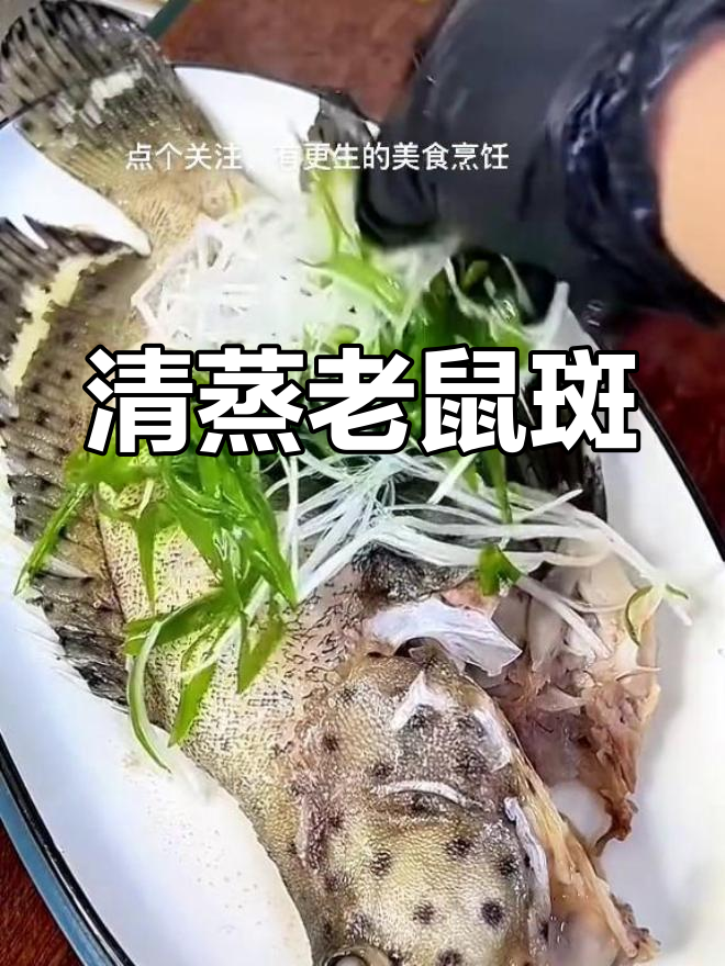 清蒸老鼠斑鱼,鲜美又营养