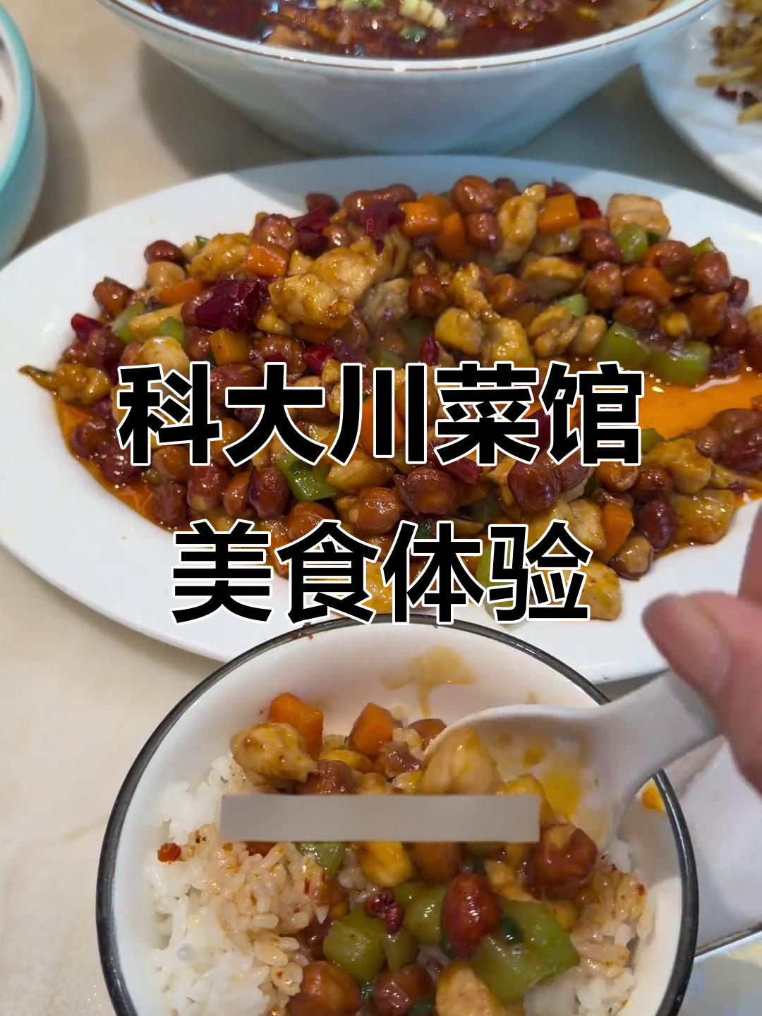 科大附近川菜馆,土豆丝和水煮肉片太下饭了!