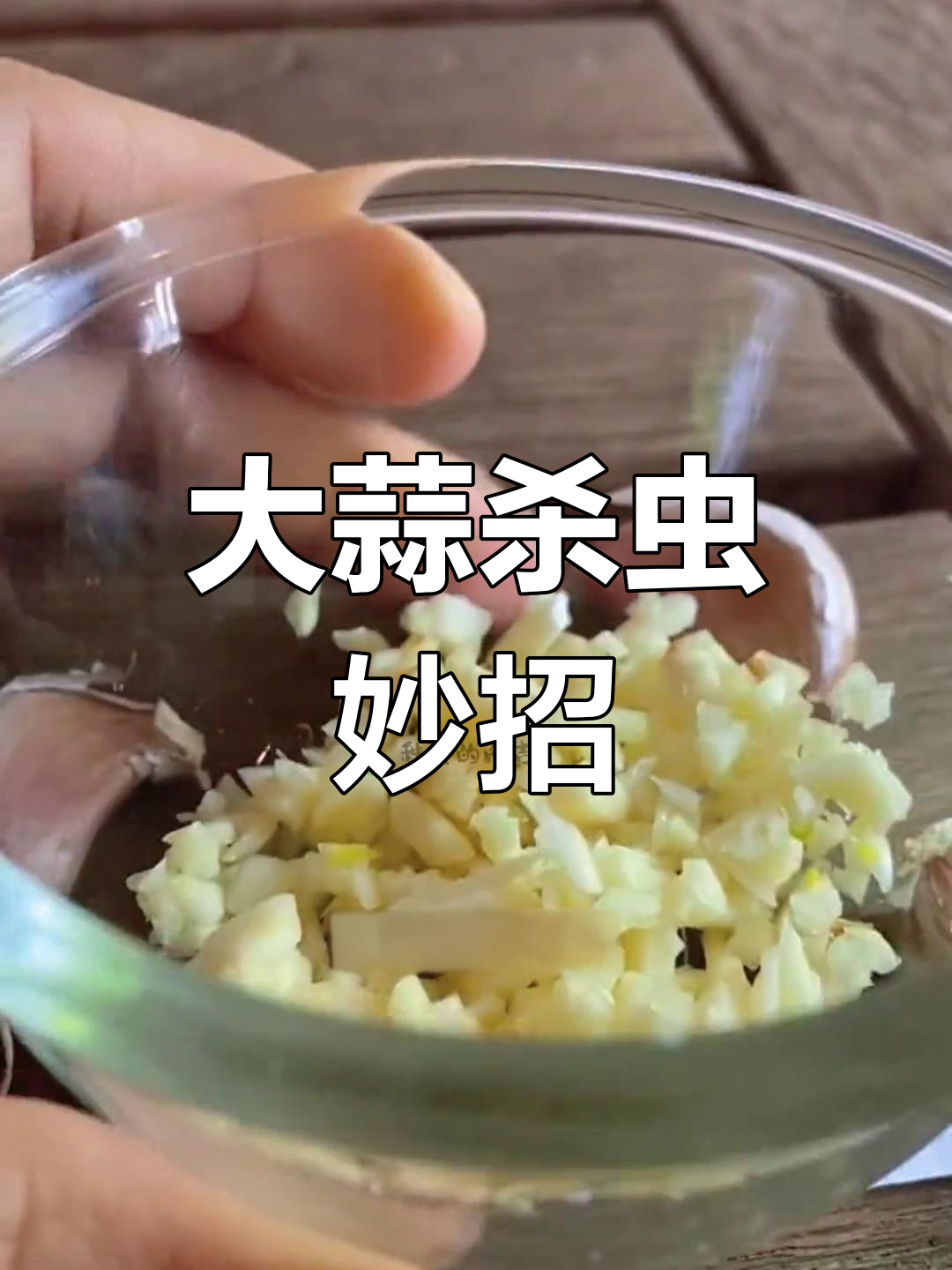 自制大蒜水,轻松驱虫,阳台种菜更健康!
