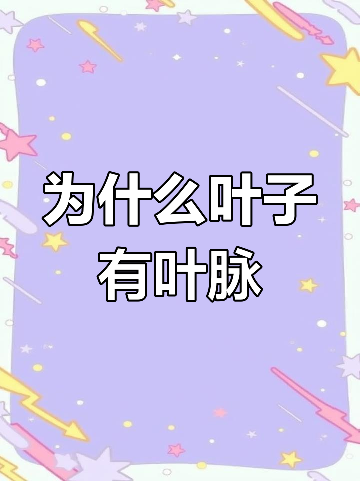 叶脉的作用与结构